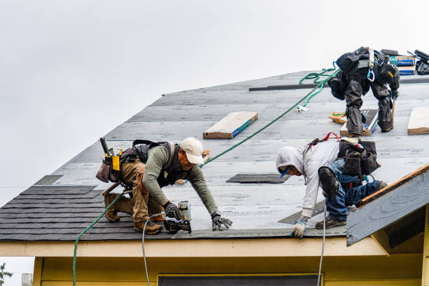 Professional Storm Damage Roof Repair technician working in Harrodsburg, KY